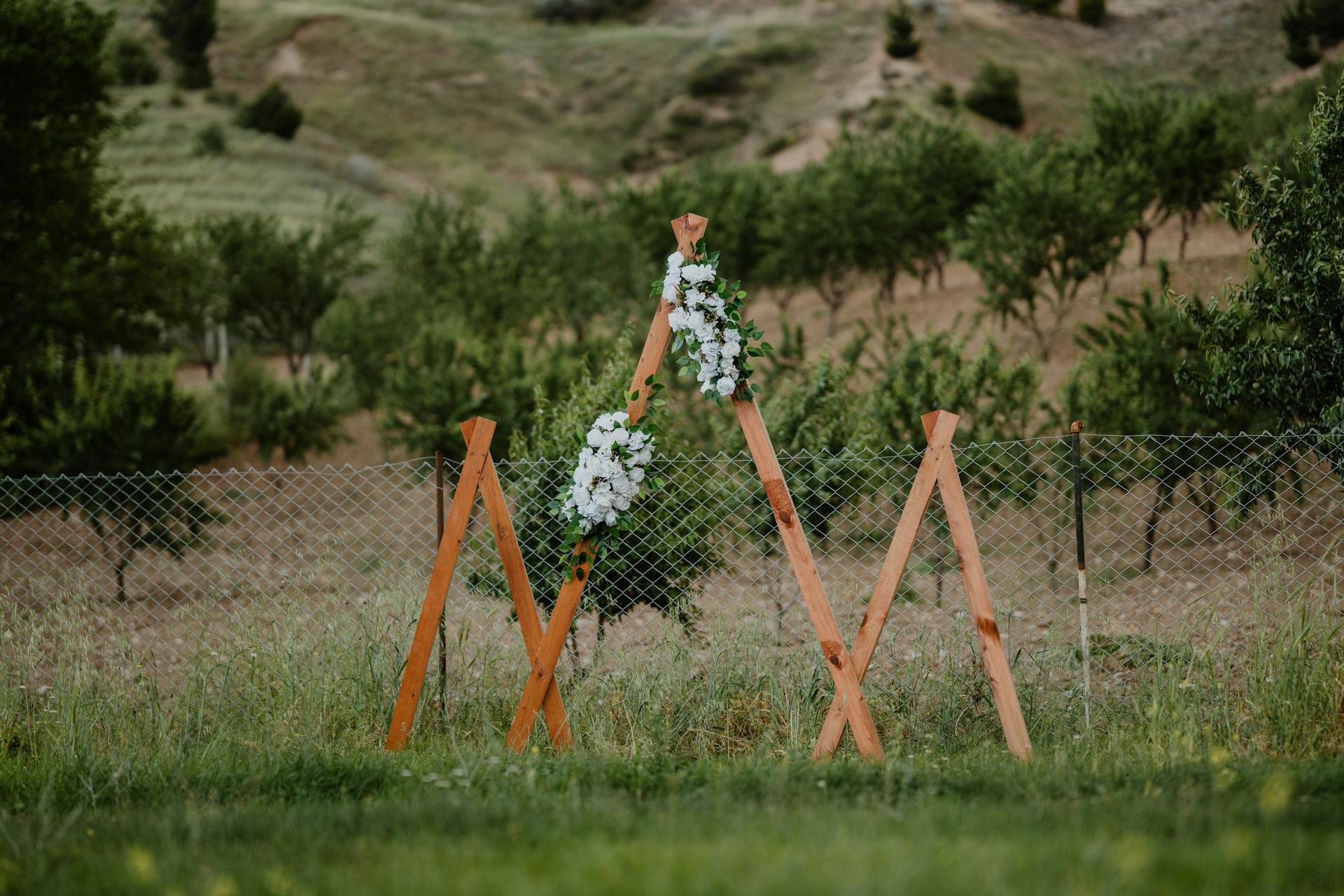 Arche florale dans une oliveraie privée du Mas Candille, fin de journée.
