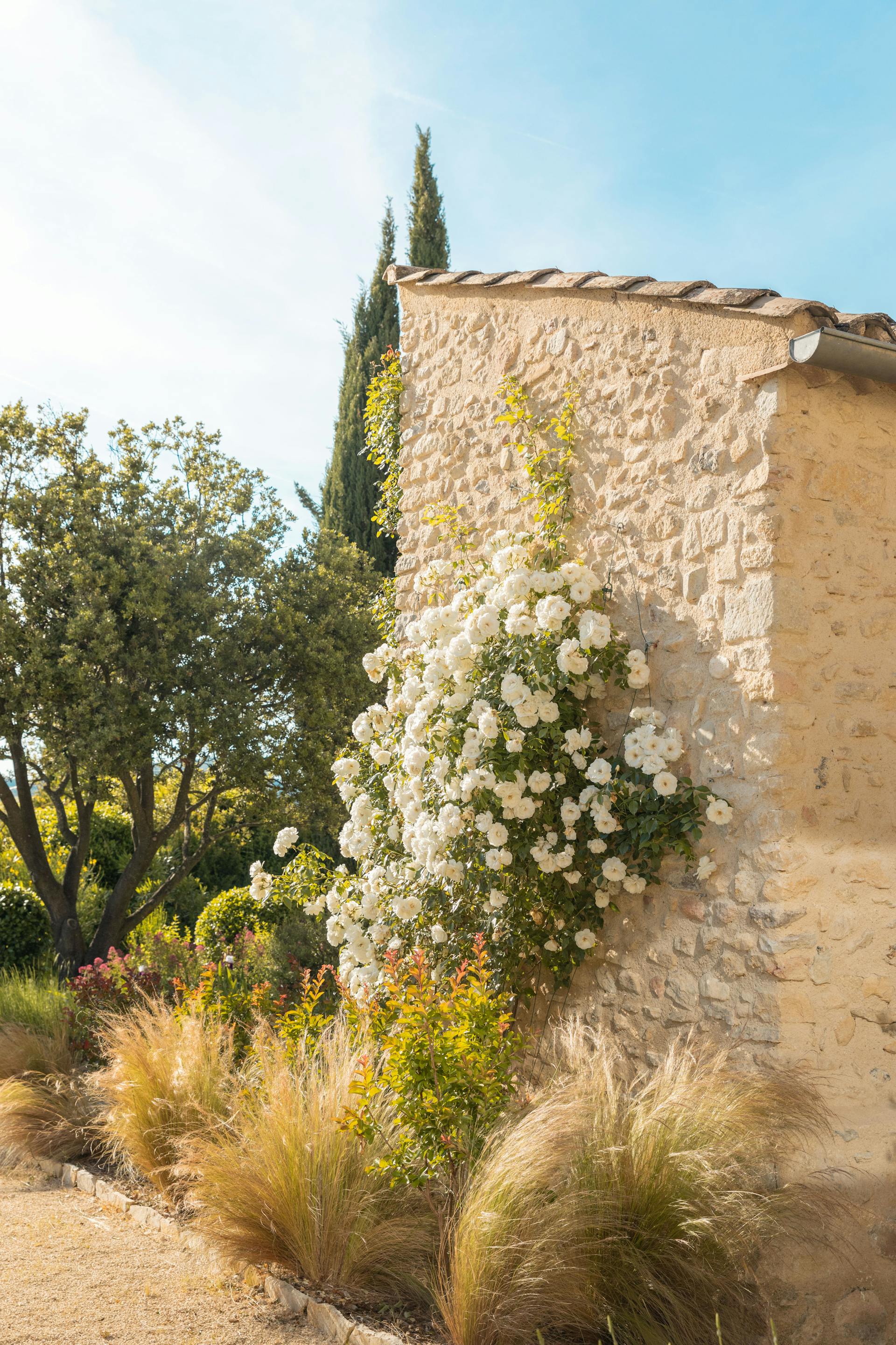 Domaine de réception Villa les Roses, sur le même terrain familial, à deux cents mètres de la roseraie.